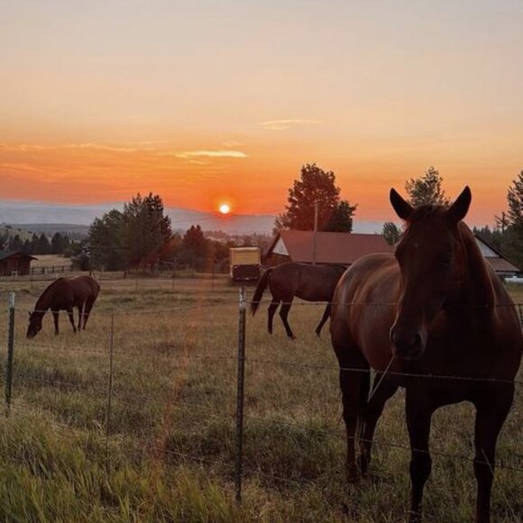 ☆☆☆ - Picture 1 of 1